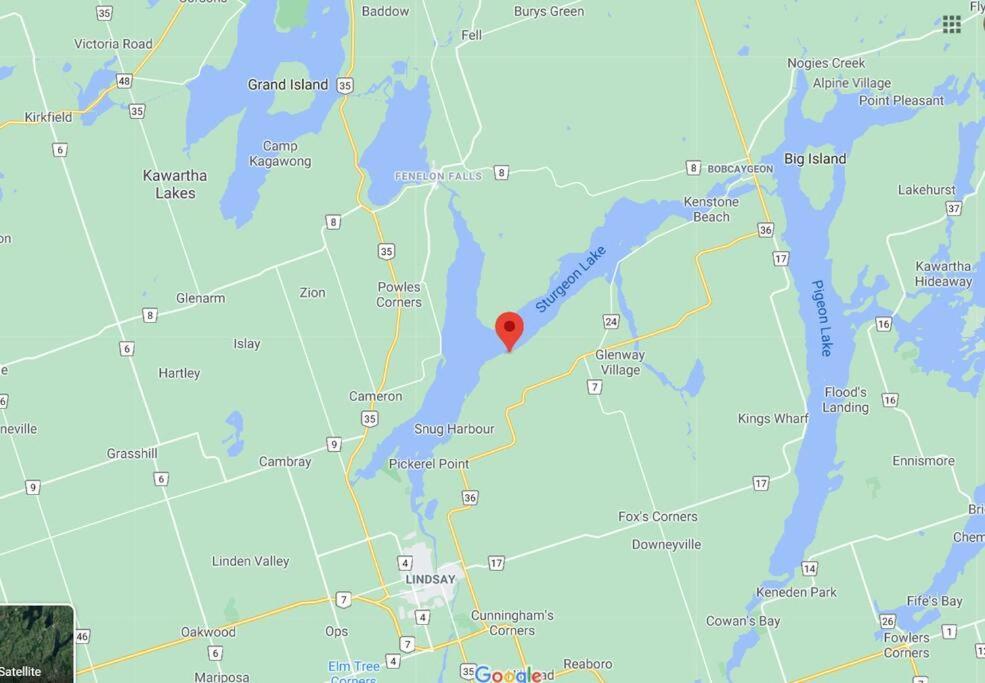 Fenelon Falls Fun Place With A Sandy Beach For Swimming, Boating, And Fishing, Featuring 3 Available Cabins מראה חיצוני תמונה