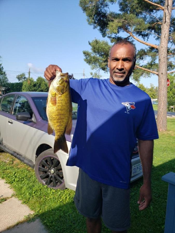 Fenelon Falls Fun Place With A Sandy Beach For Swimming, Boating, And Fishing, Featuring 3 Available Cabins מראה חיצוני תמונה