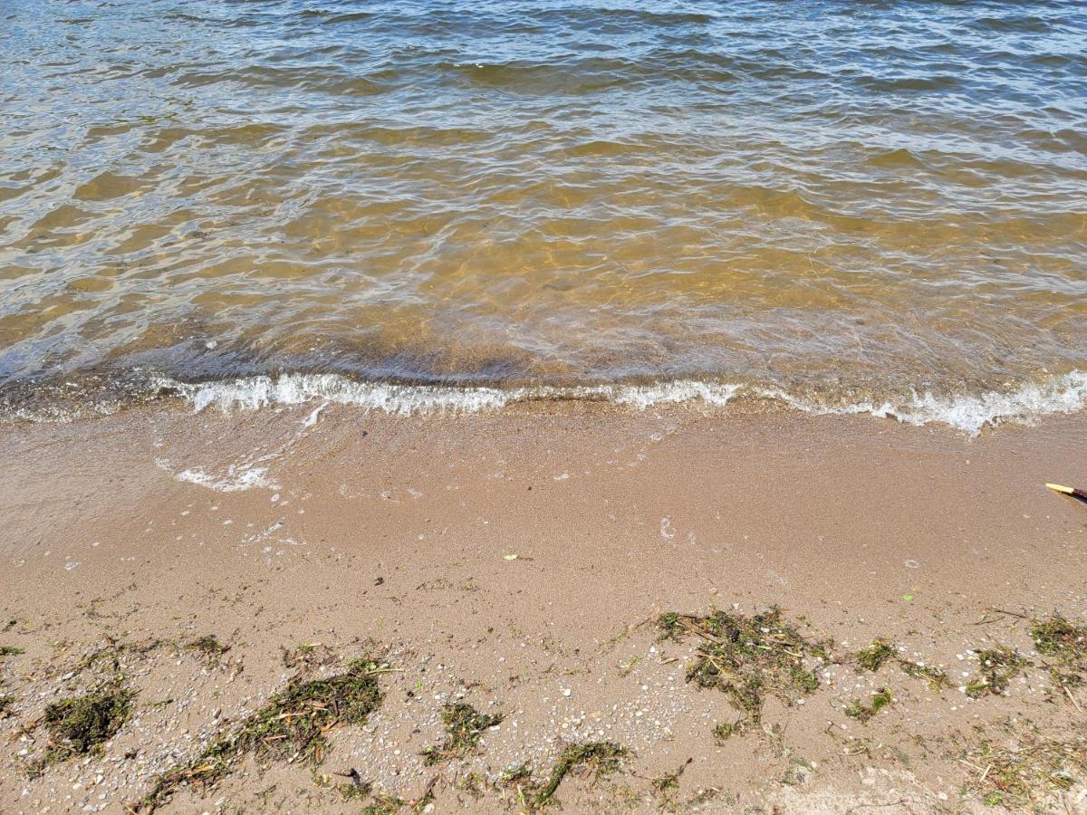 Fenelon Falls Fun Place With A Sandy Beach For Swimming, Boating, And Fishing, Featuring 3 Available Cabins מראה חיצוני תמונה