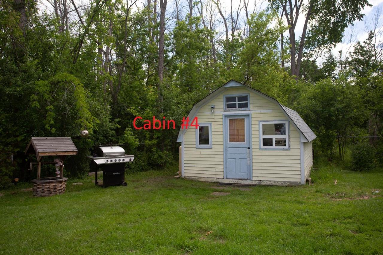 Fenelon Falls Fun Place With A Sandy Beach For Swimming, Boating, And Fishing, Featuring 3 Available Cabins מראה חיצוני תמונה